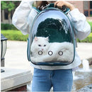 Mochila pet astronauta