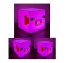 Luminaria Minecraft