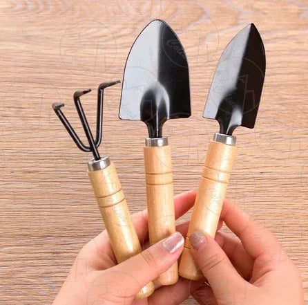 Kit 3 Peças Para Jardinagem Conjunto Mini Ferramentas - Colina