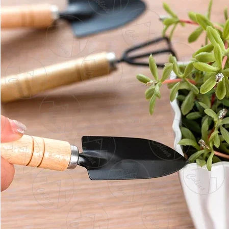 Kit 3 Peças Para Jardinagem Conjunto Mini Ferramentas - Colina