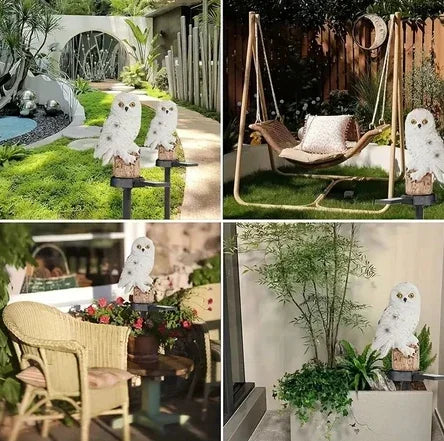 Coruja De Jardim