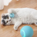 Bola interativa Catball